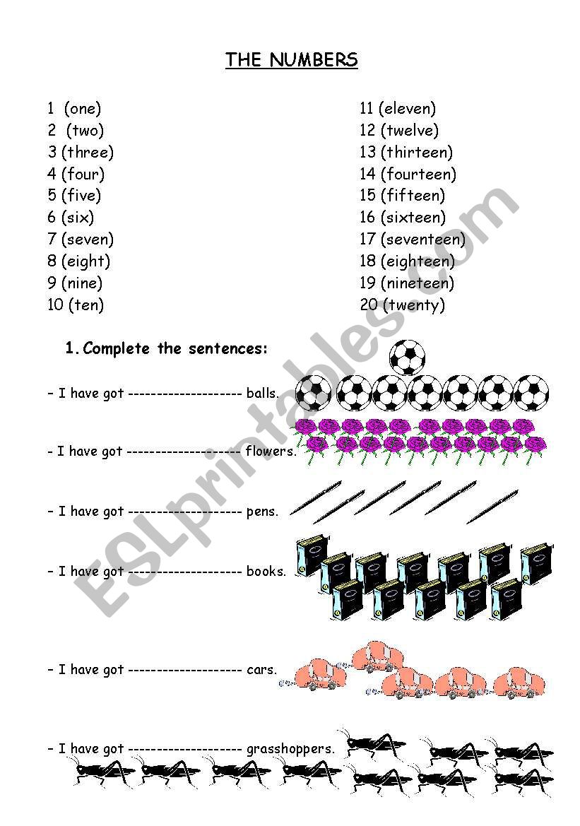 The numbers worksheet