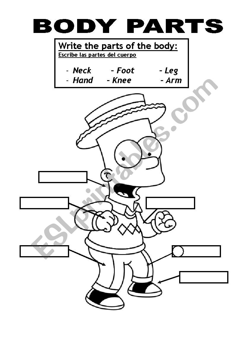 Body parts worksheet