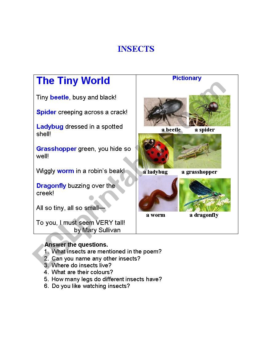 INSECTS (a poem + a pictionary + questions)