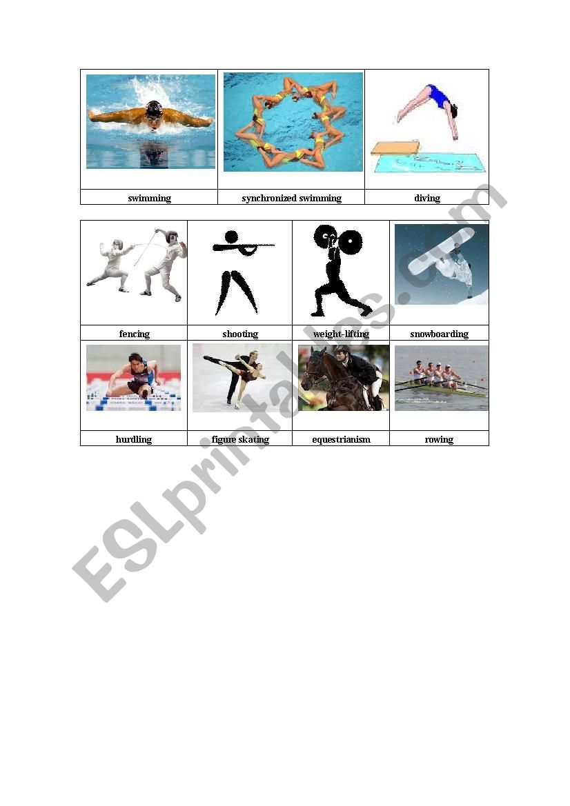 sports worksheet