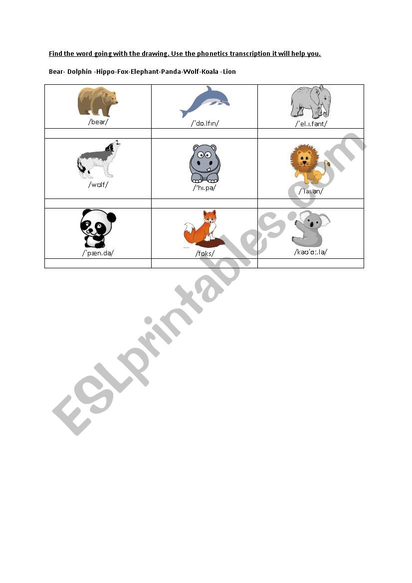 animals vocabulary worksheet worksheet