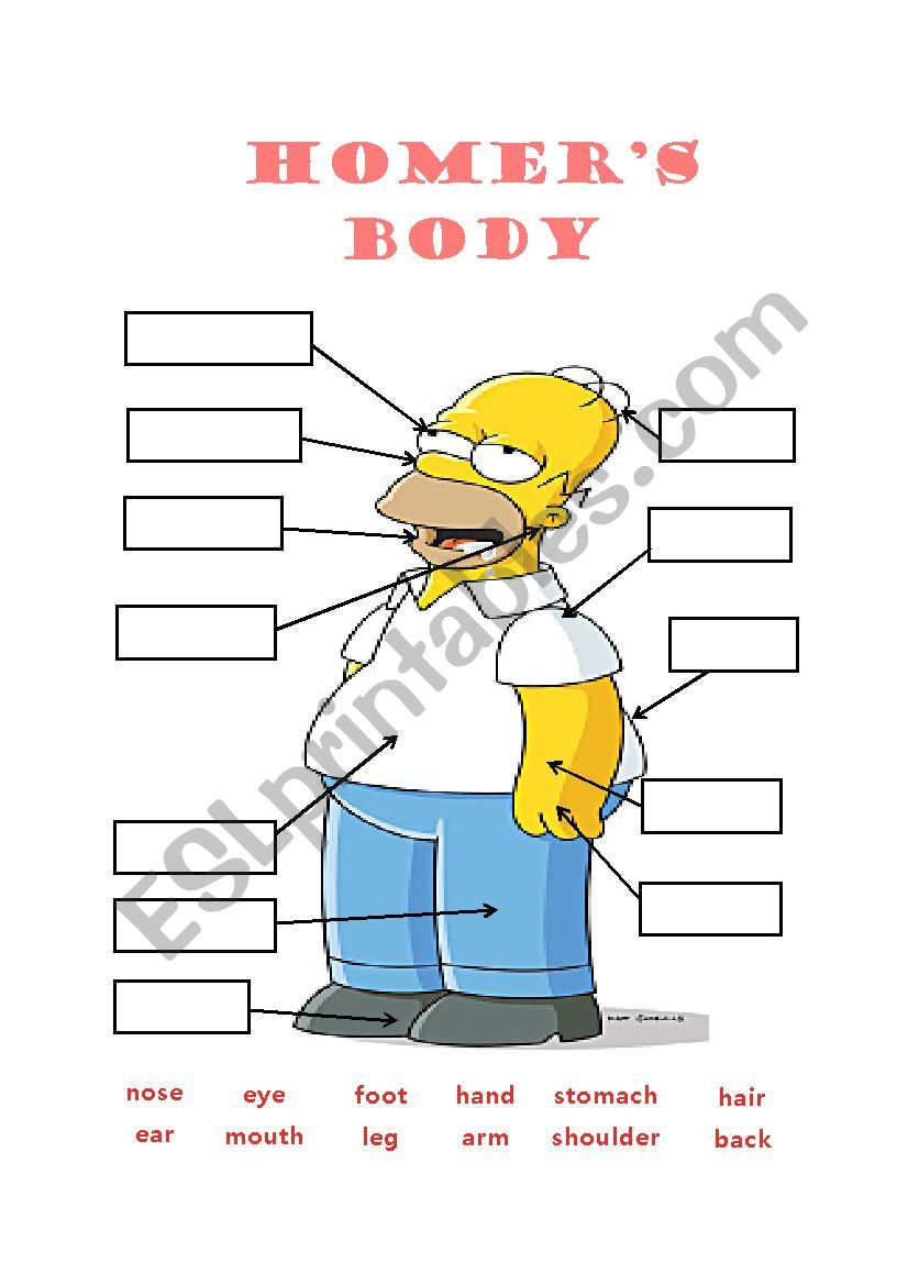 Homers Body Parts worksheet