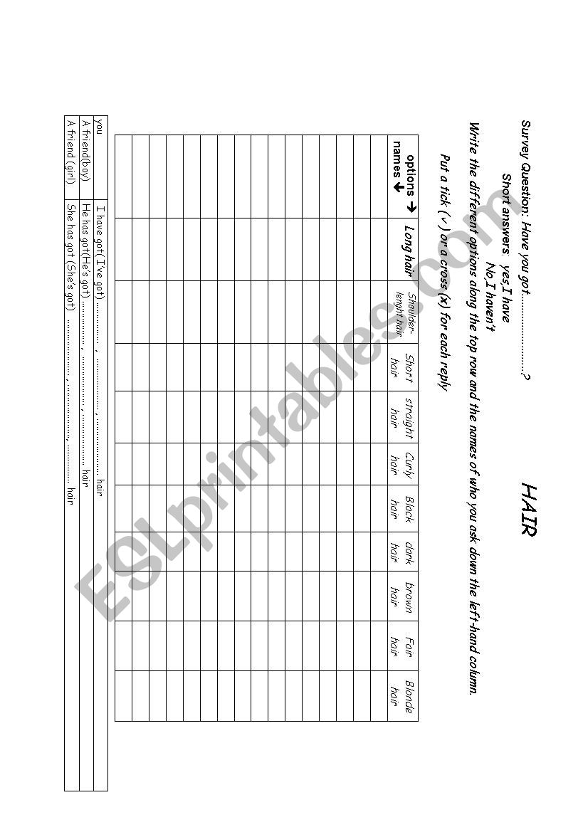 Class survey. worksheet