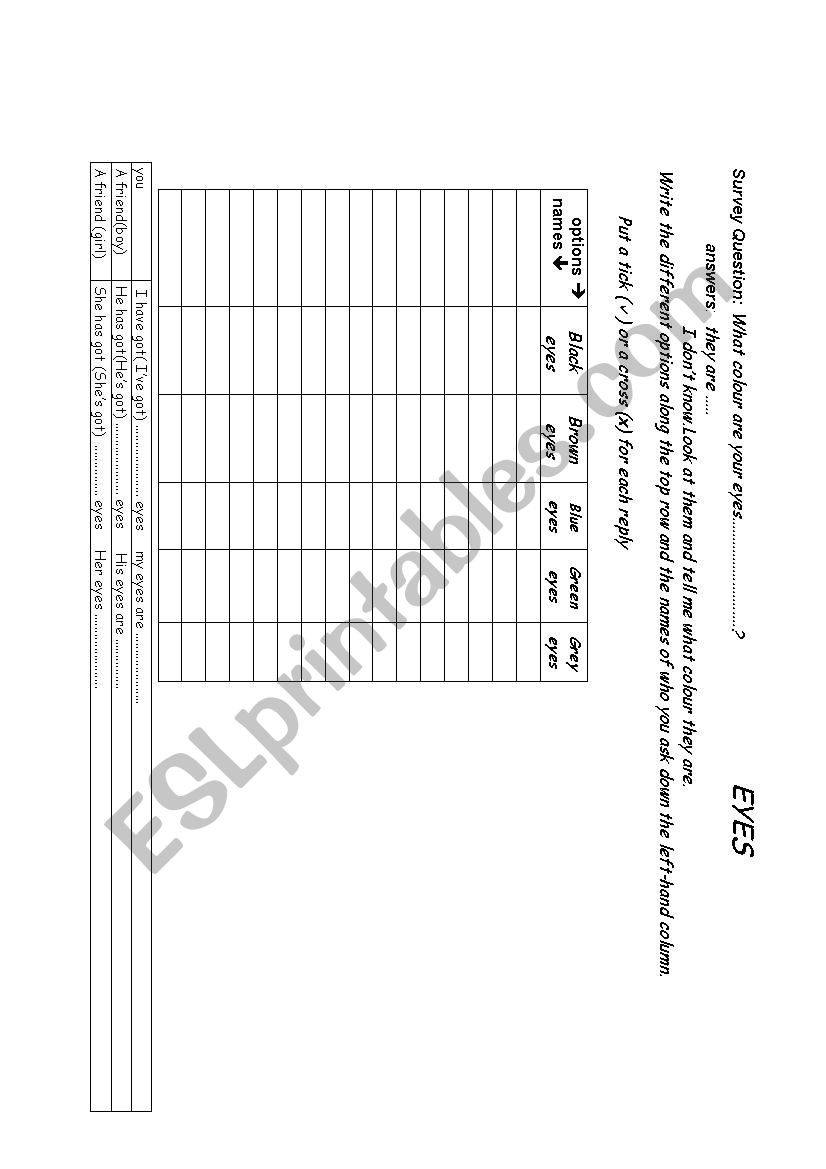 class survey.eyes worksheet