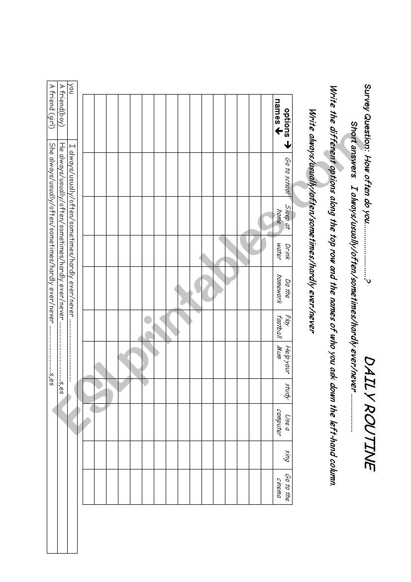 class survey.Daily routine worksheet