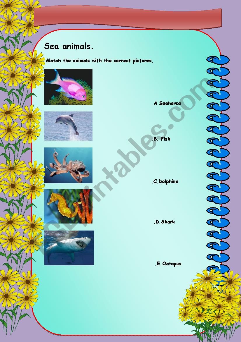 sea animals worksheet