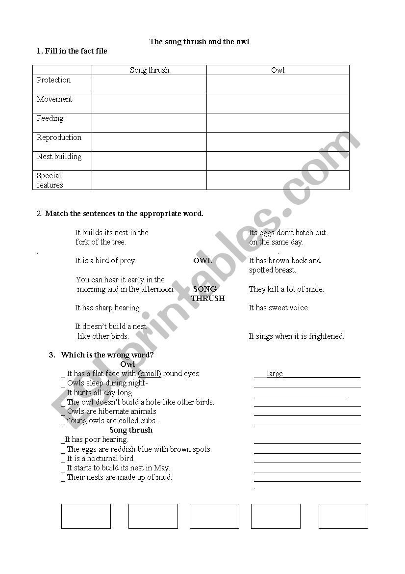 The owl and the song thrush worksheet