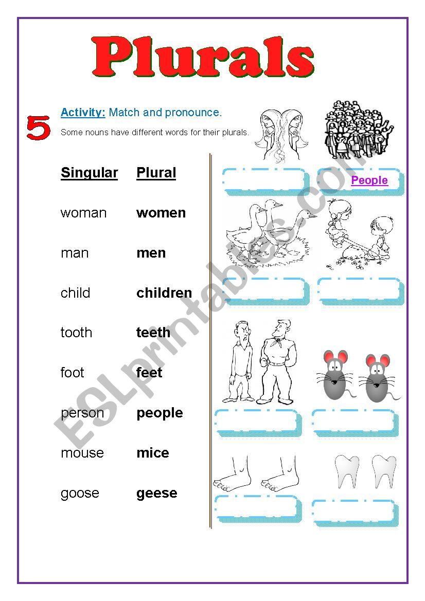 Plurals part 2 worksheet