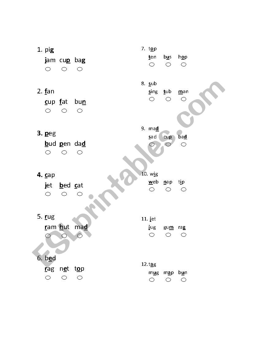 Phonics Practice worksheet