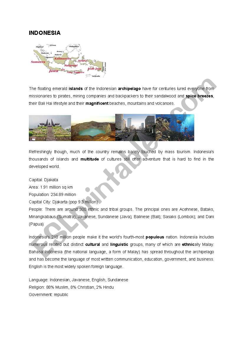 Indonesia Culture worksheet