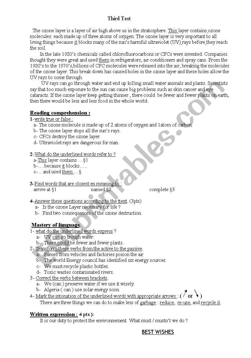 The Ozone Layer worksheet