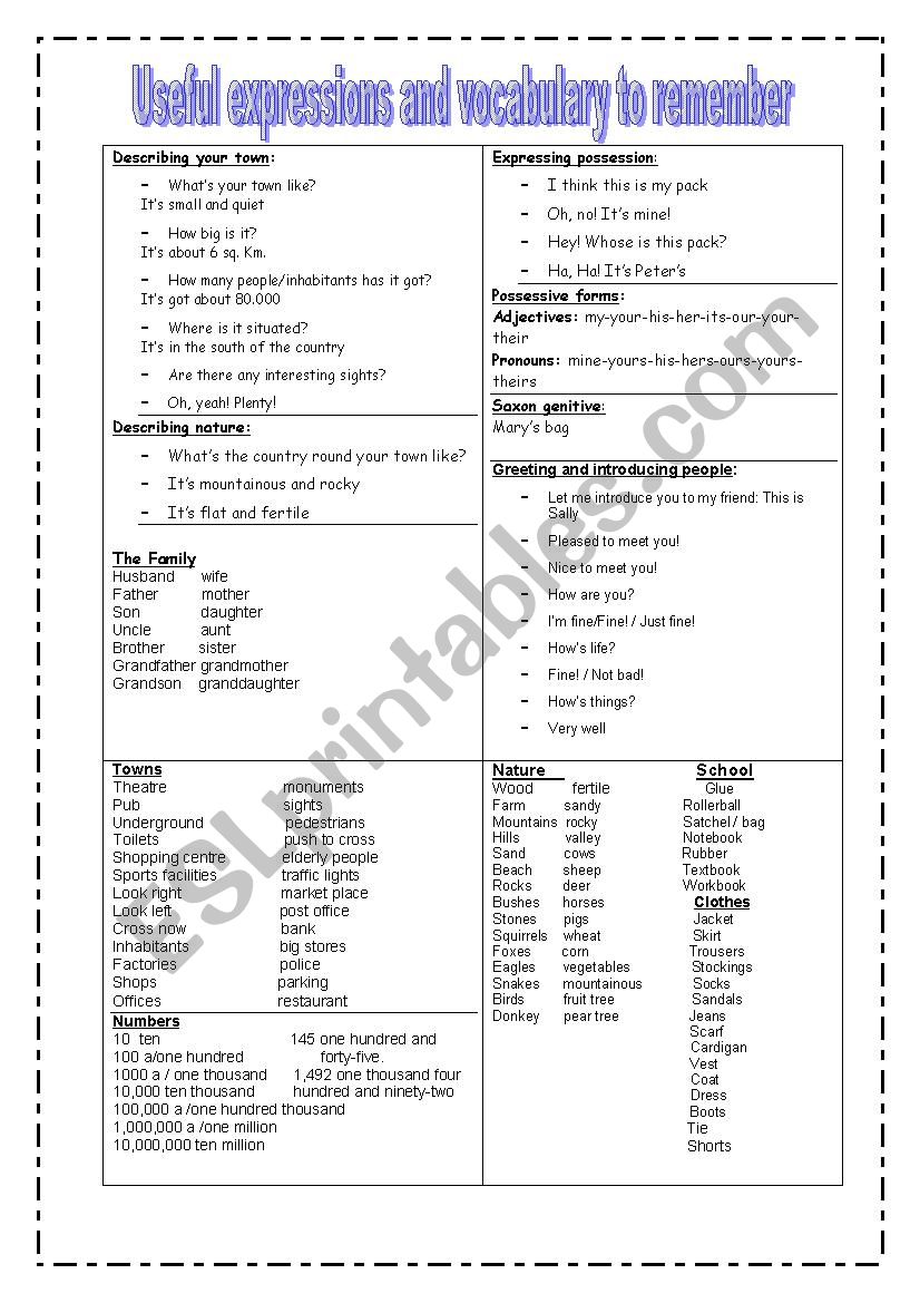 USEFUL EXPRESSIONS AND VOCABULARY TO REMEMBER