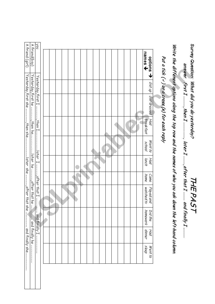 class survey.the past 1 worksheet