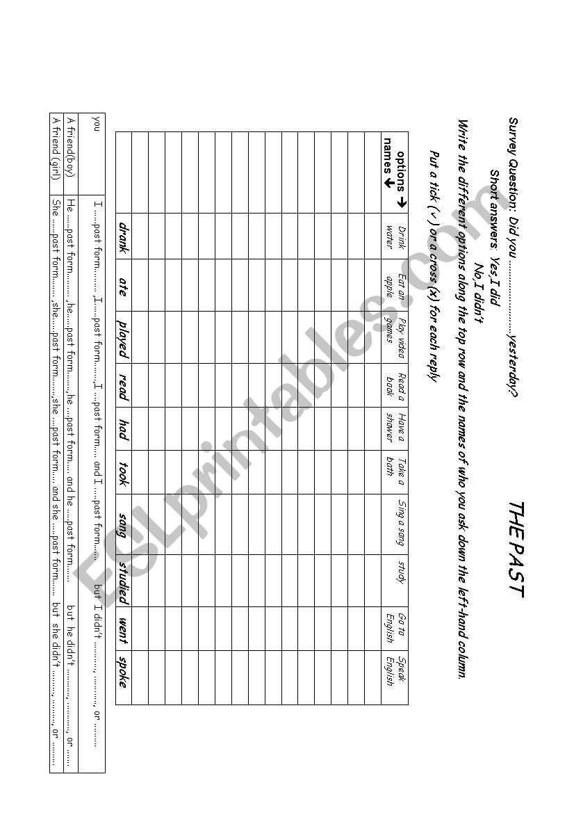 class survey.the past 2 worksheet