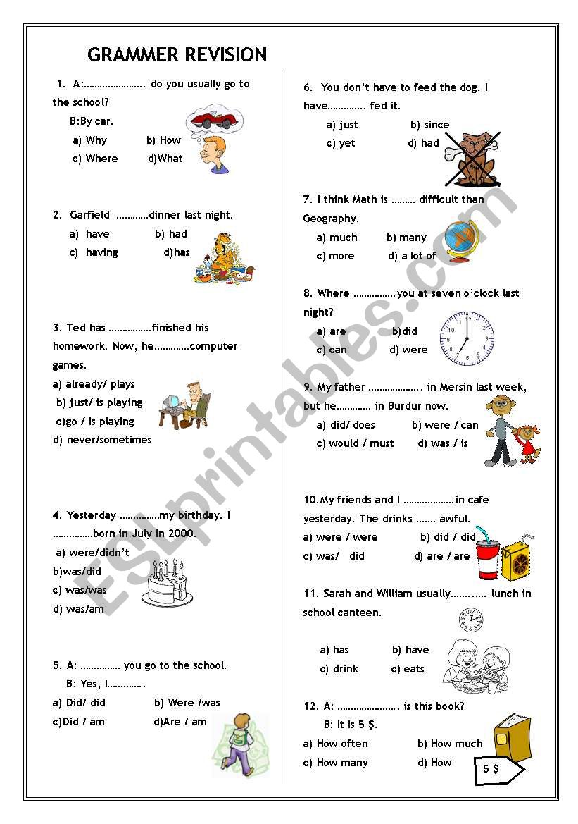 GRAMMER REVISION worksheet