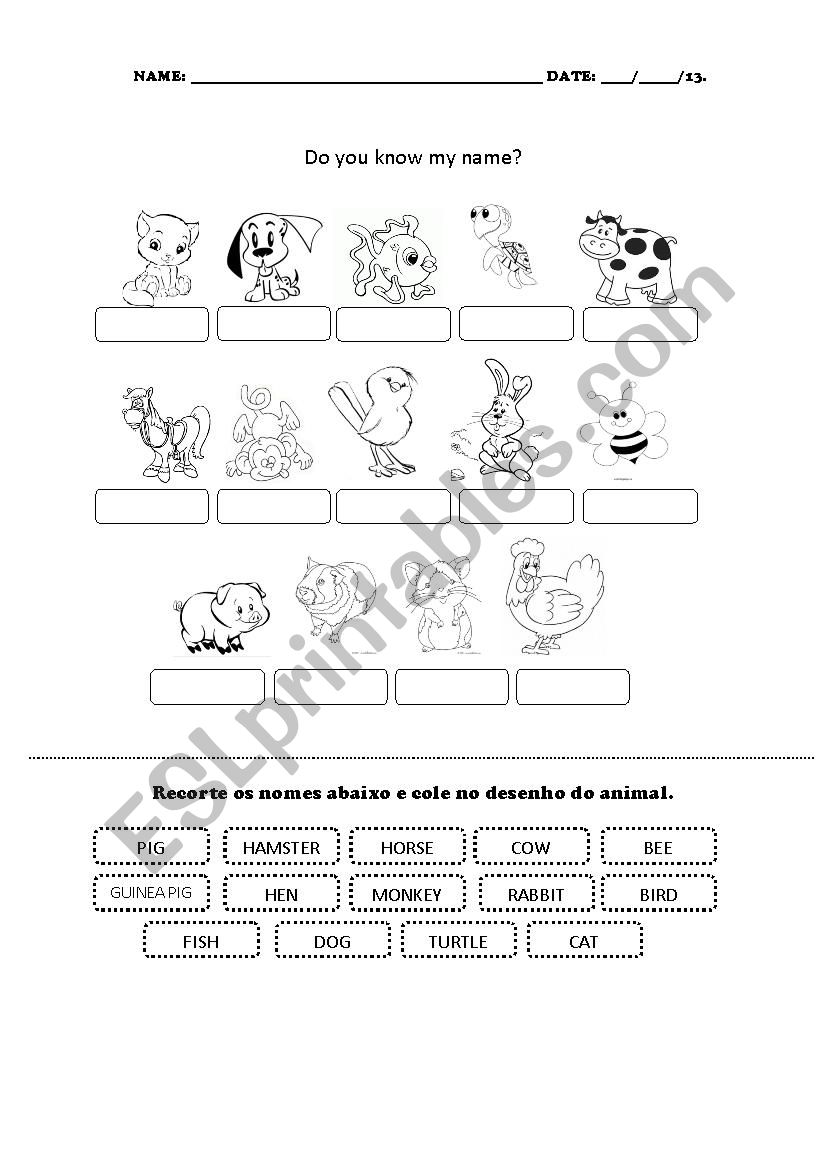 Pets worksheet