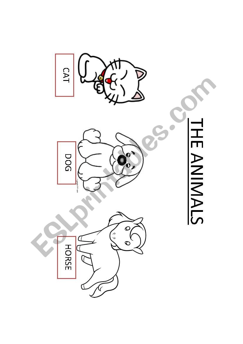 THE ANIMALS worksheet