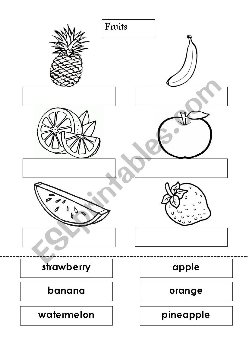 Fruits worksheet