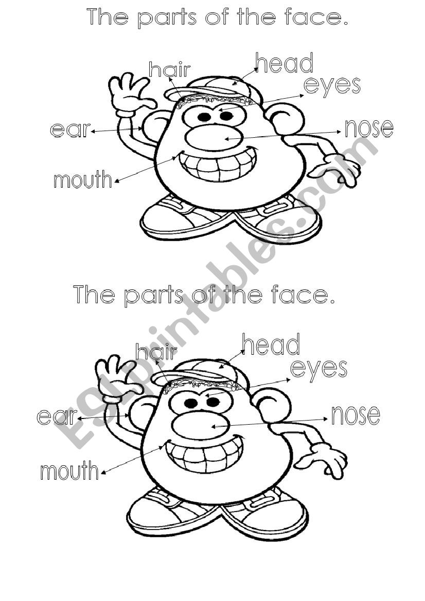 parts of the face worksheet