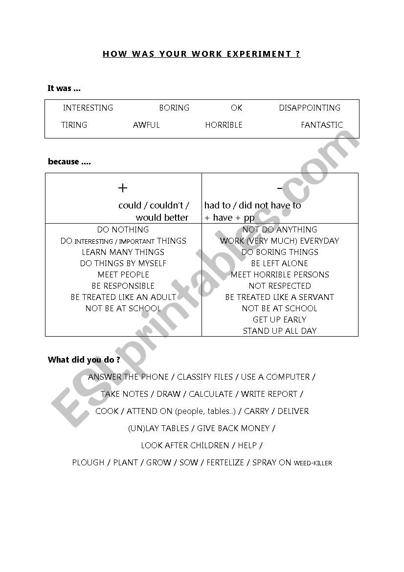 work experiment worksheet