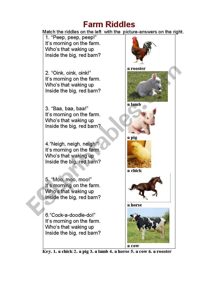 FARM RIDDLES (a matching game)