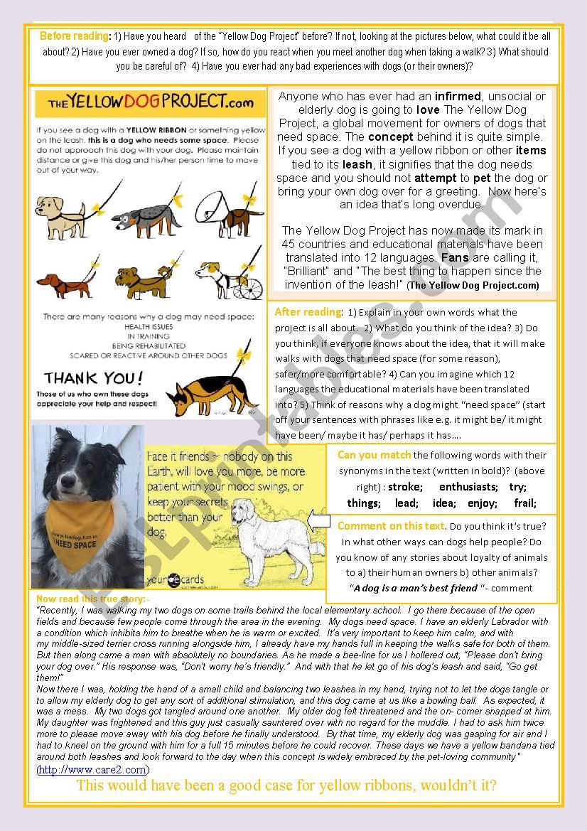 The Yellow Dog Project worksheet