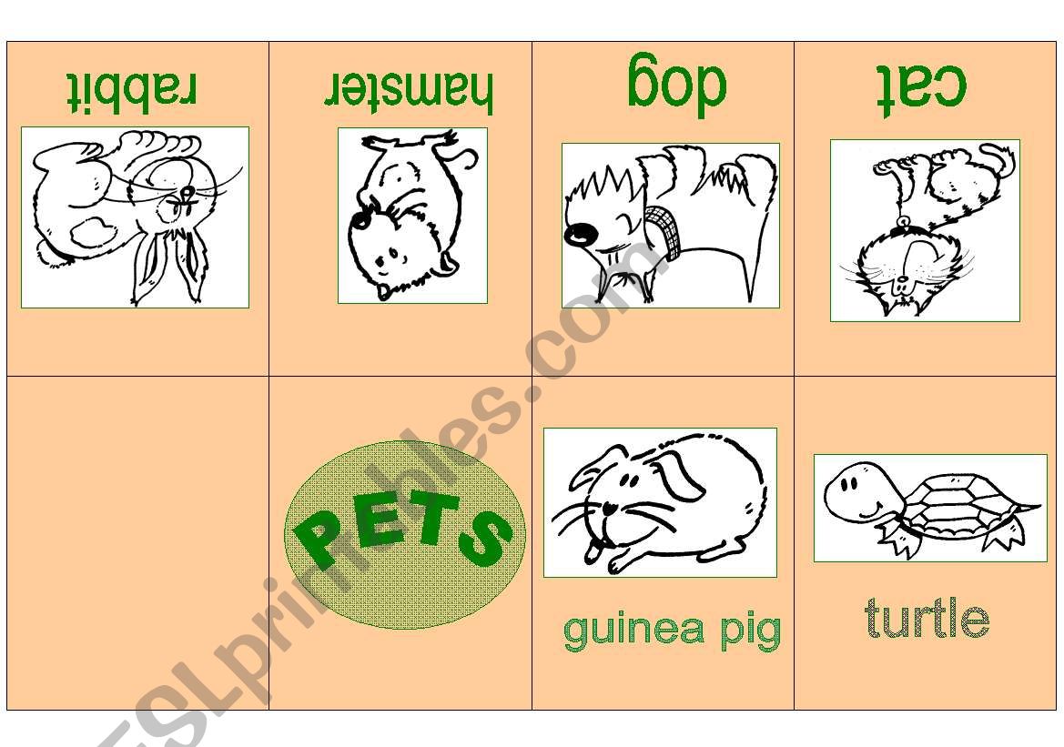 PETS MINIBOOK worksheet