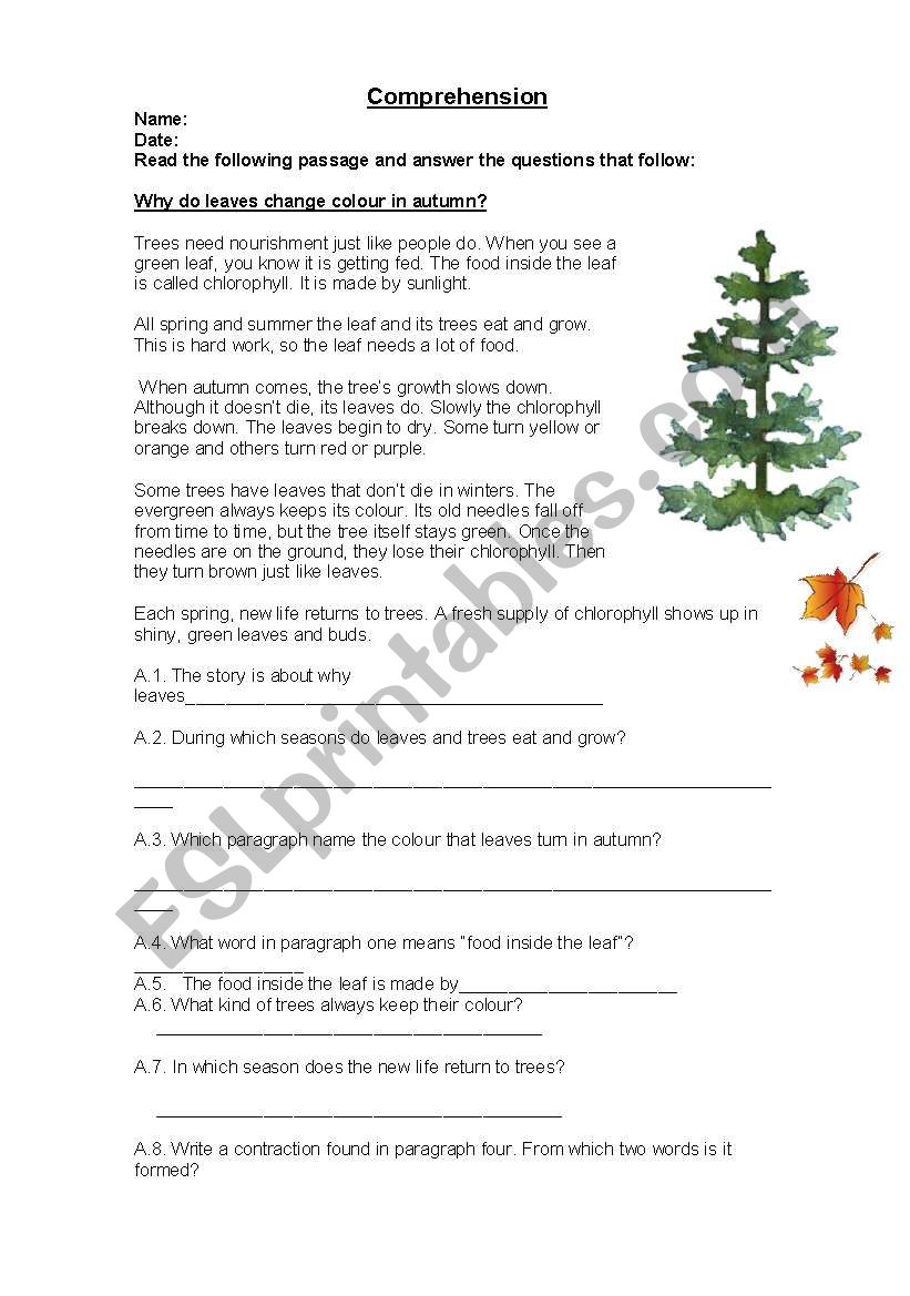 redaing comprehension worksheet