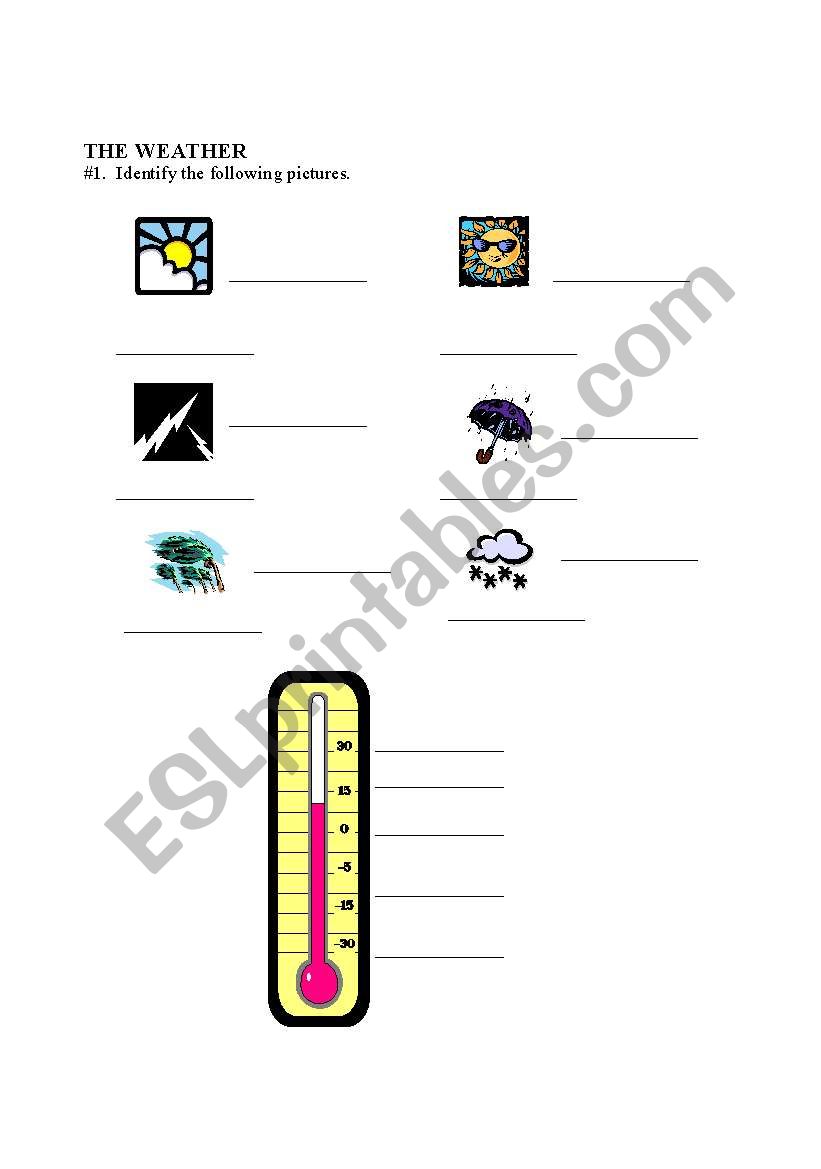 weather worksheet