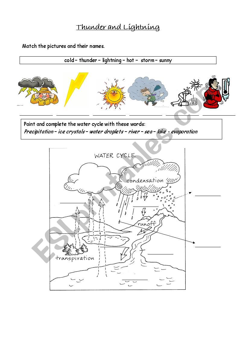 The water cycle worksheet