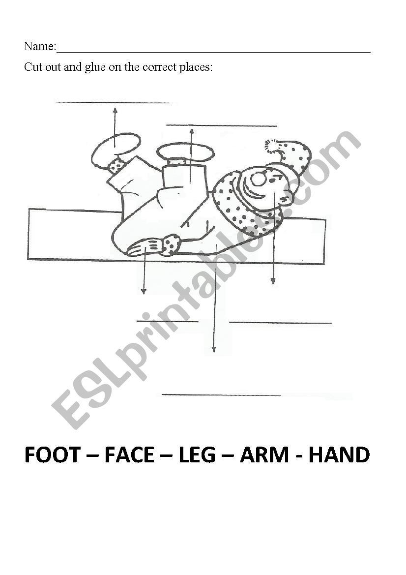  human body worksheet