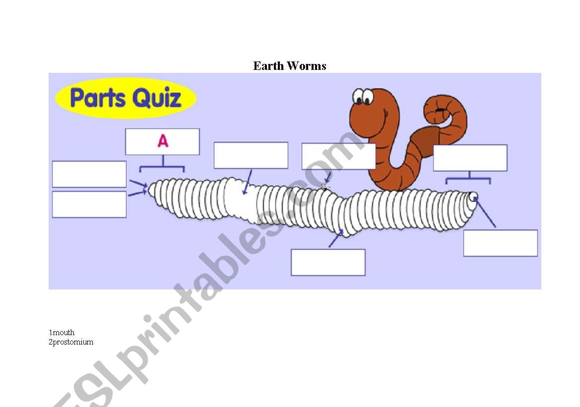 erath worm worksheet