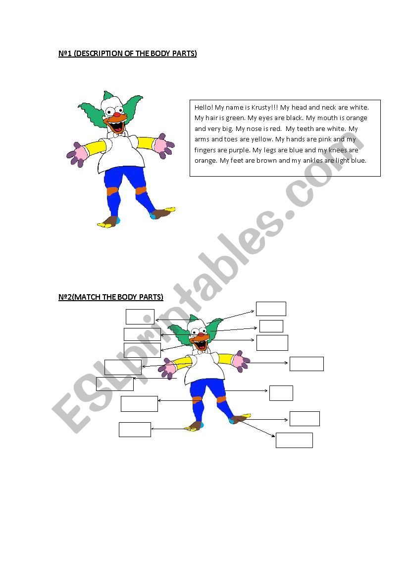 BODY PARTS worksheet