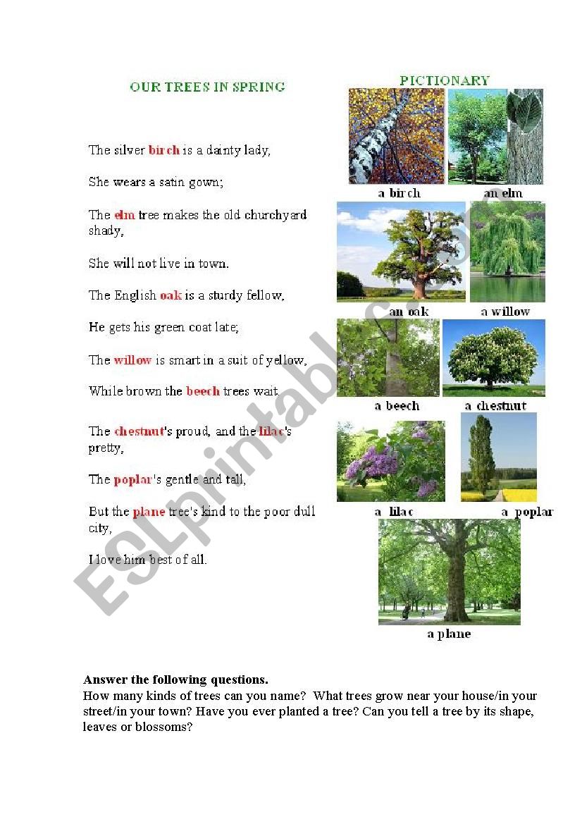 OUR TREES IN SPRING (a poem + a pictionary + questions to discuss)