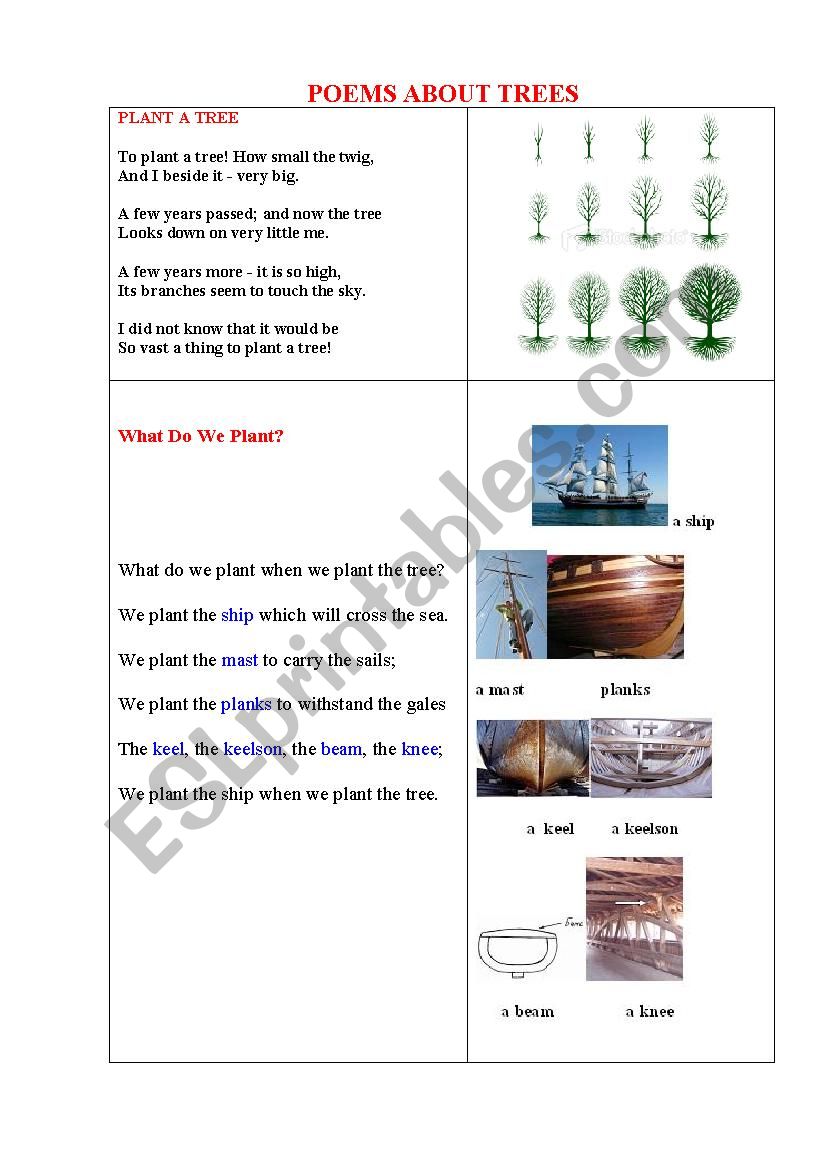 PLANT A TREE (2 poems + a pictionary)