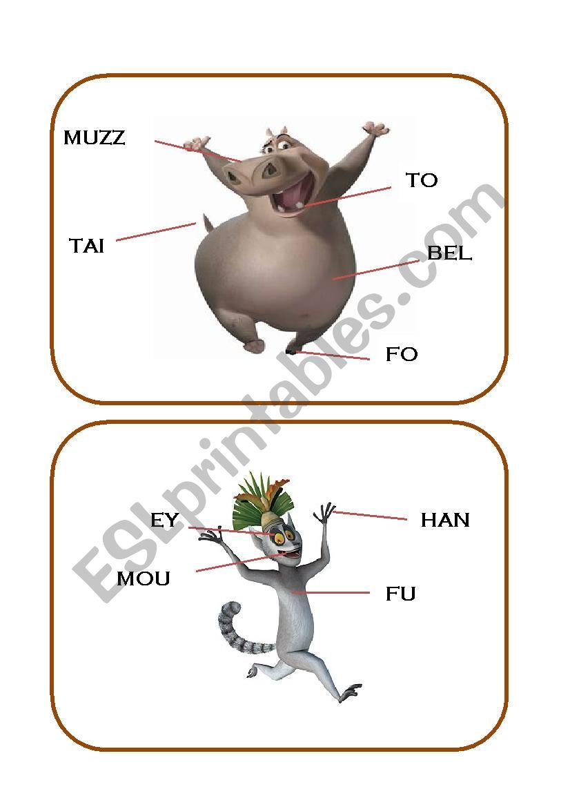 Madagascar flashcards worksheet