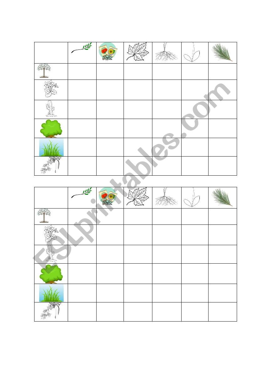 Plant Battleship playing board