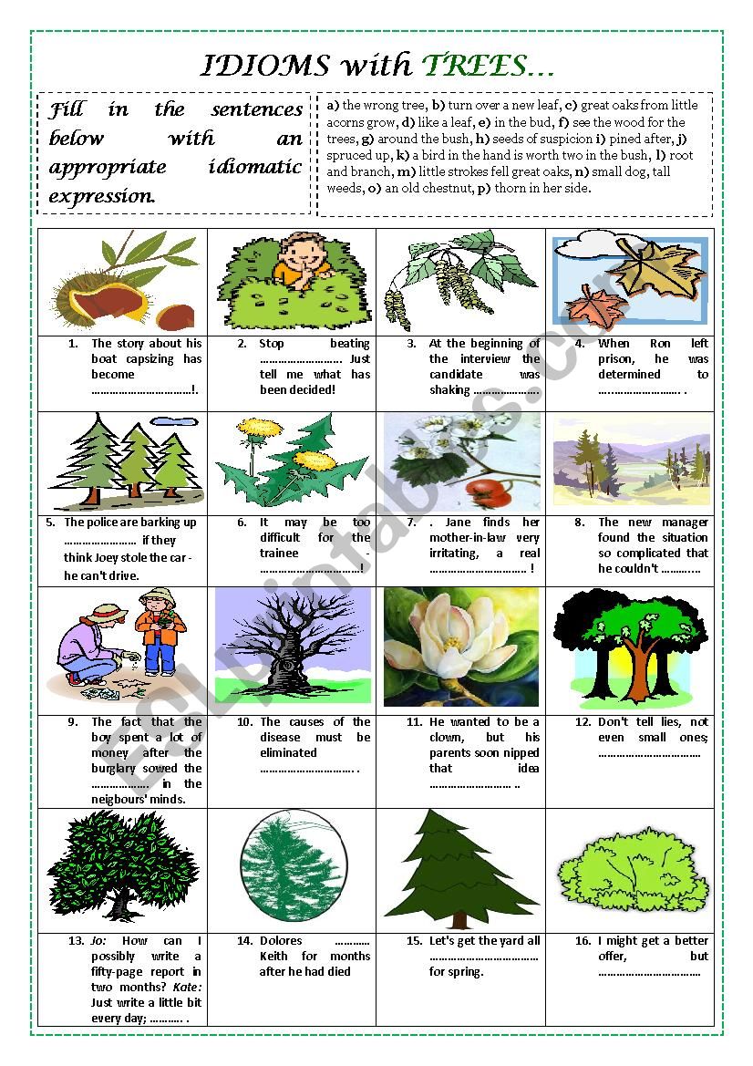 IDIOMS with TREES (plus key) worksheet