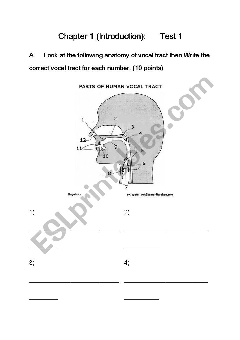 Vocal Tract Test worksheet