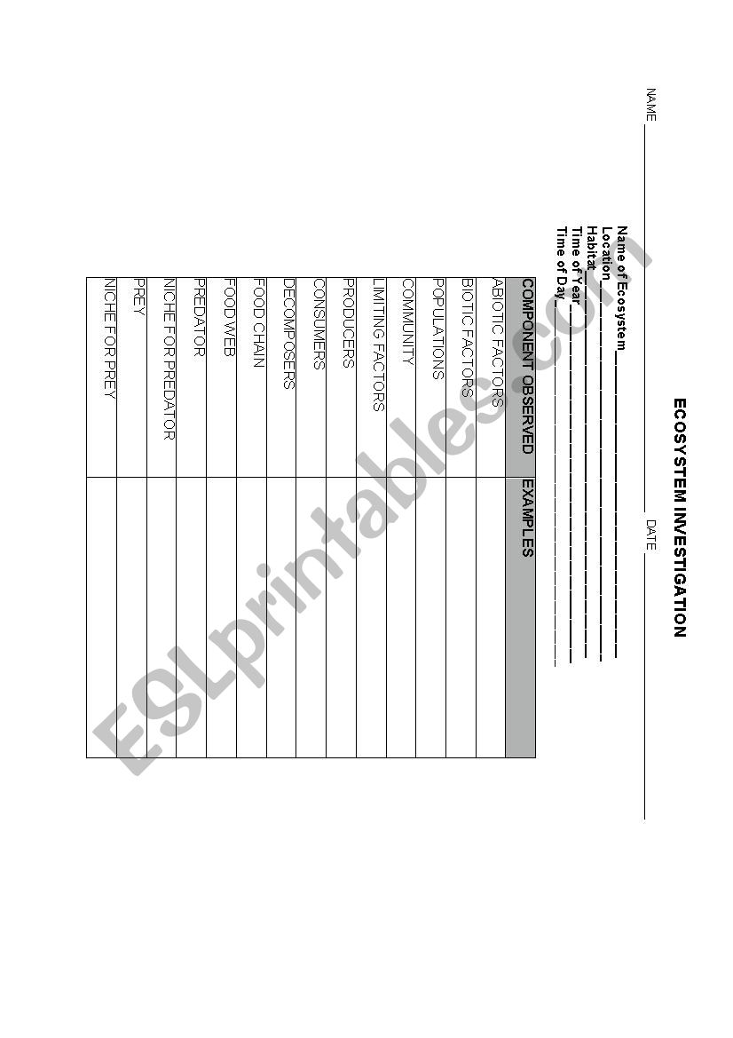 Ecosystem Observation Chart worksheet