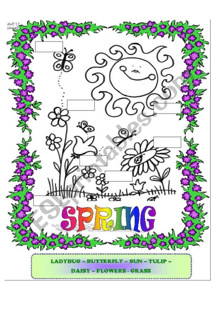 Spring worksheet