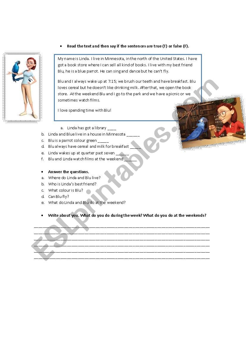 Rio worksheet worksheet