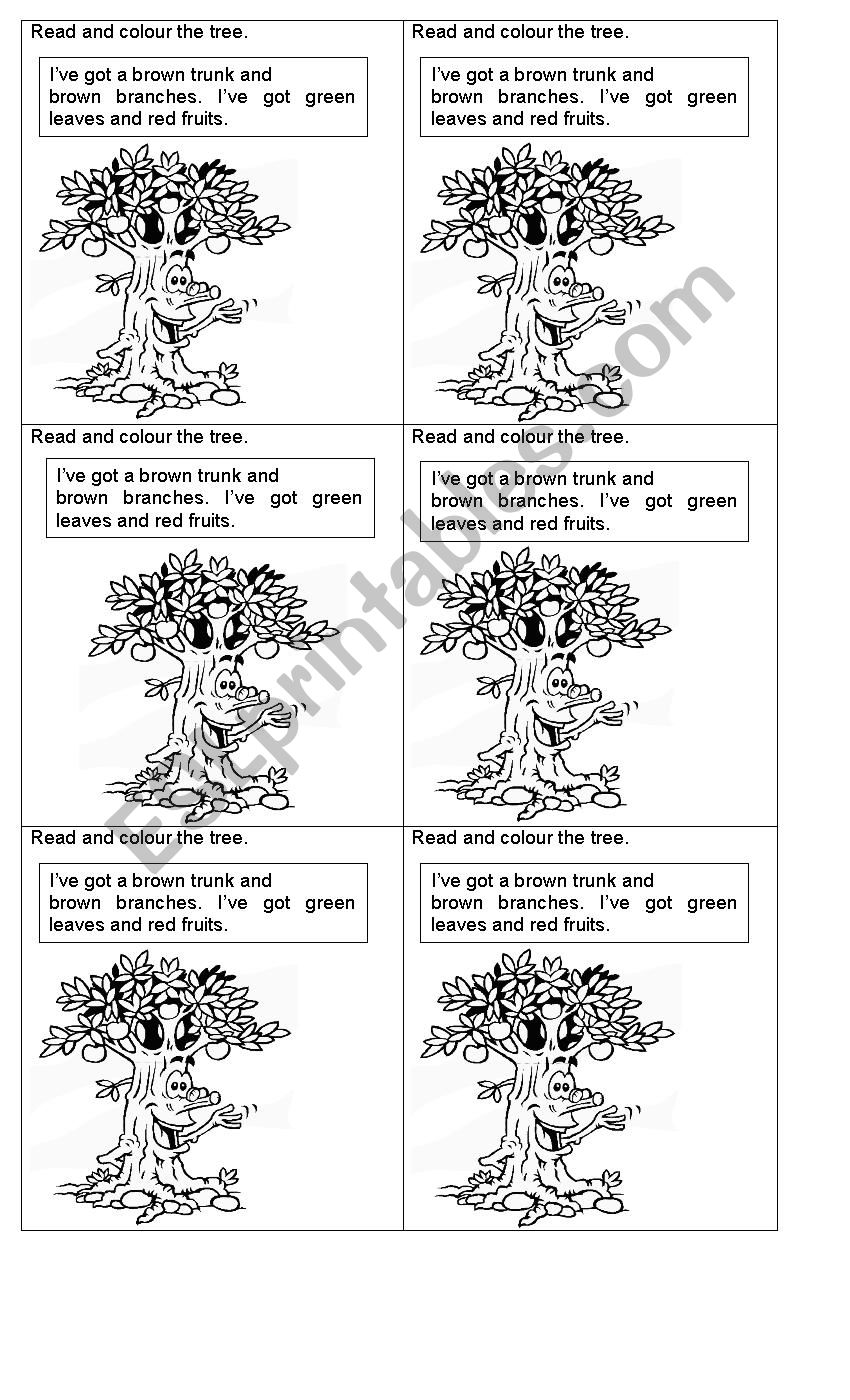 Parts of a tree  worksheet