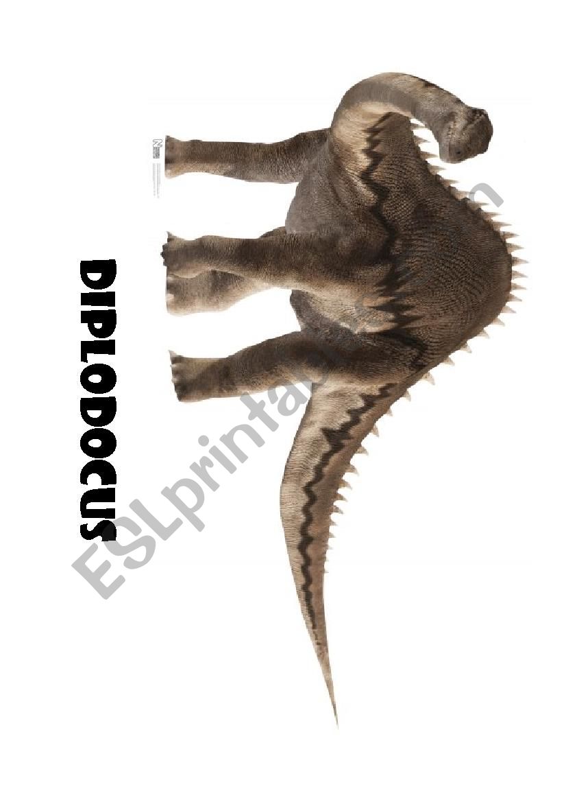 DINOS FLASHCARDS 2 worksheet