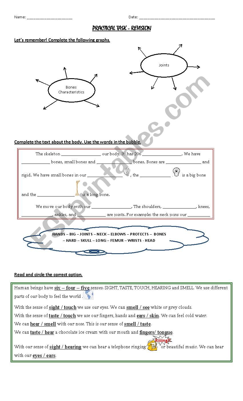 MY BODY worksheet