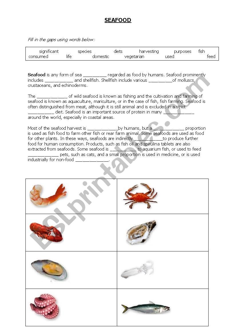 Seafood worksheet