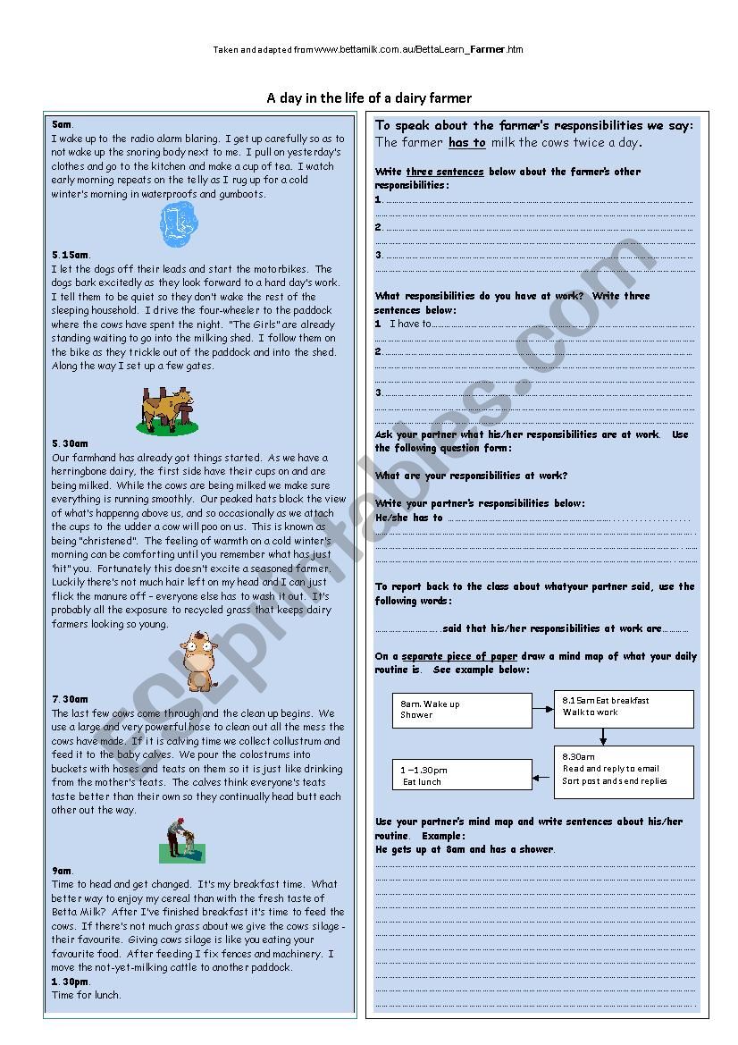 A dairy farmers life and responsibilities - reading and worksheet