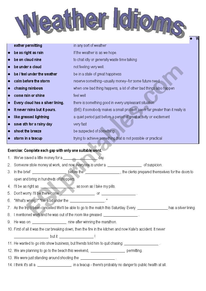 Weather Idioms worksheet