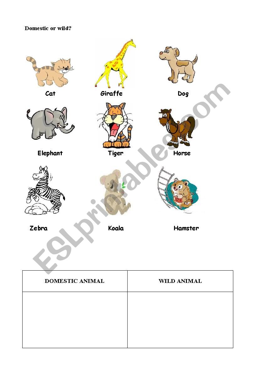 ANIMALS CLASSIFICATION - ESL worksheet by JoseKaram