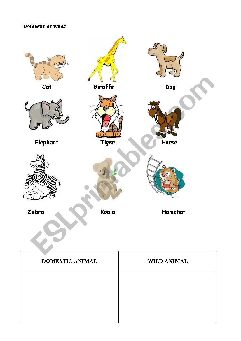 ANIMALS CLASSIFICATION worksheet